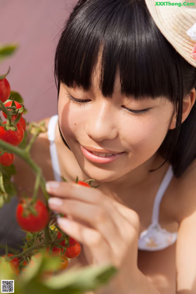 A woman in a straw hat picking tomatoes from a plant.